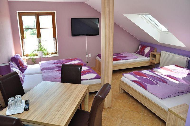 Penzion Farma Lednice Oda fotoğraf
